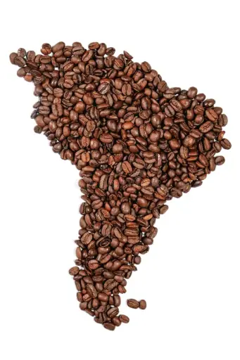 Latin Amerika Kahveleri