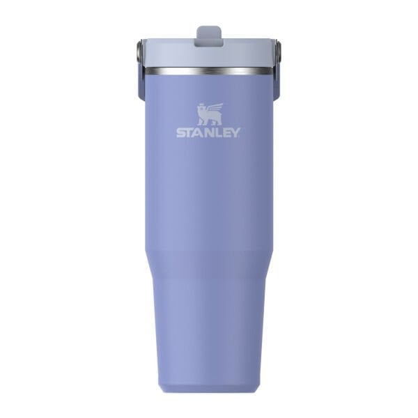 Stanley The IceFlow Flip Straw Pipetli Termos Bardak 0,89 LT Eflatun