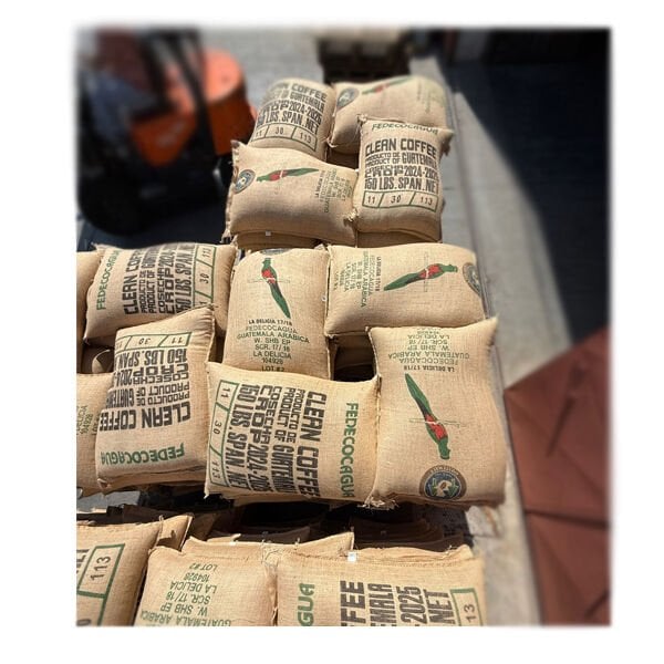 Guatemala Arabica