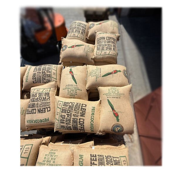 Guatemala Arabica