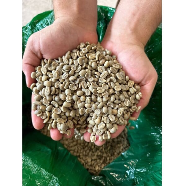 Kenya Arabica AA TOP AROMA Kavrulmuş Kahve