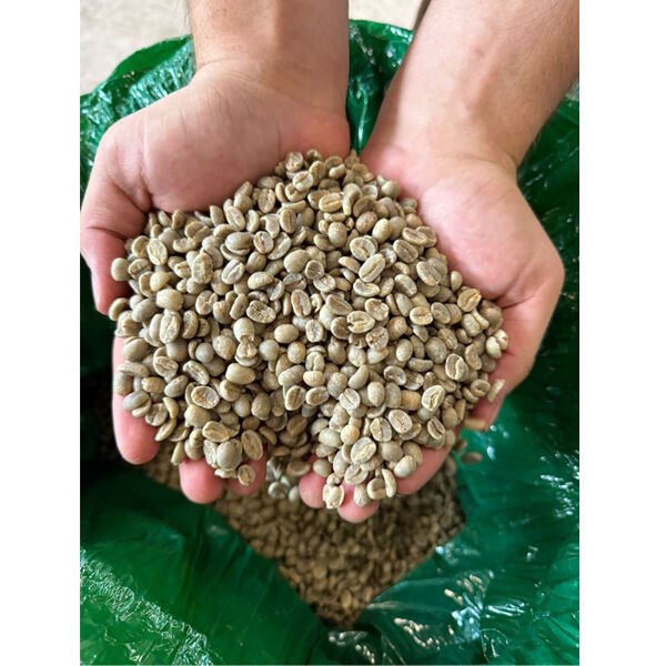 Kenya Arabica AA TOP AROMA Kavrulmuş Kahve
